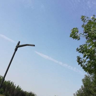 幻梦仙境仙境破解版下载